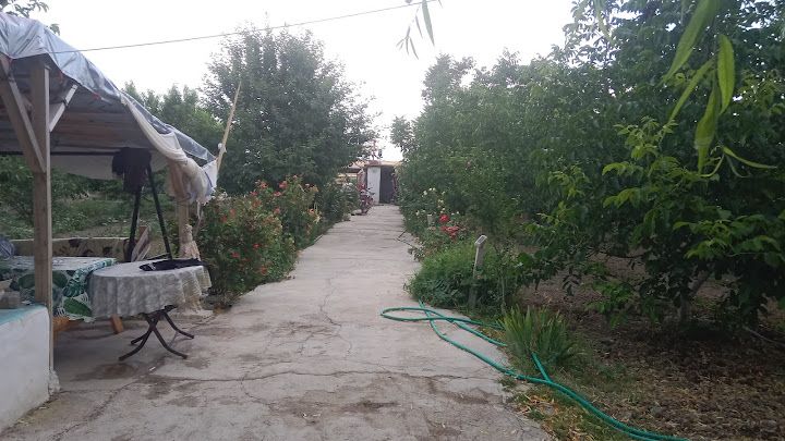 Yorum fotoğrafı 4