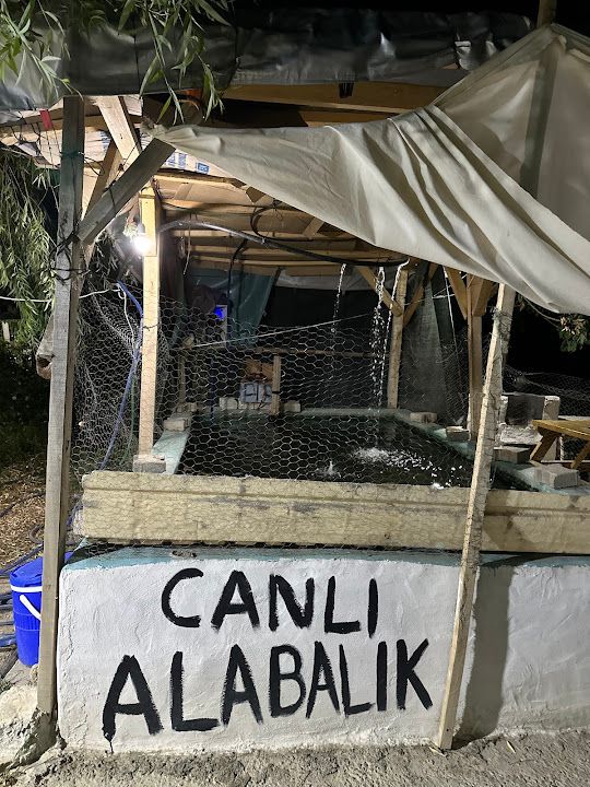 Yorum fotoğrafı 4