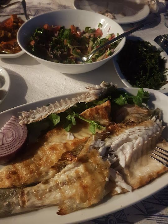 Fotoğraf 31