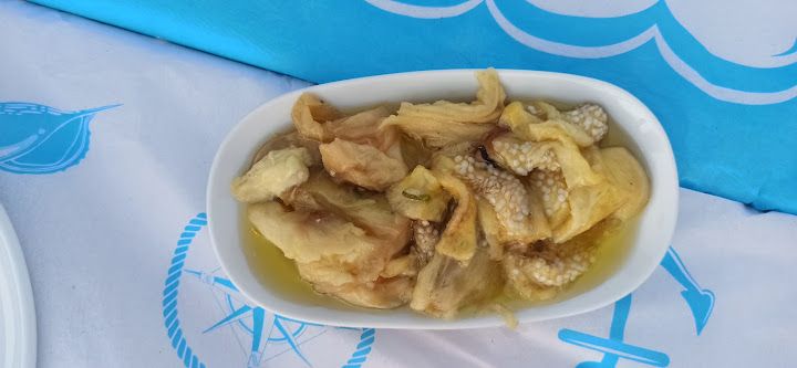 Fotoğraf 23