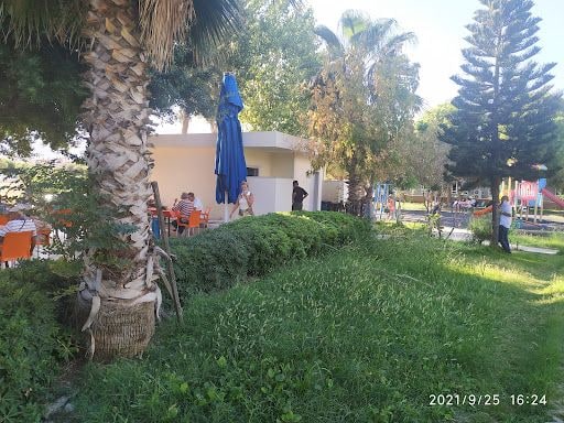 Yorum fotoğrafı 6