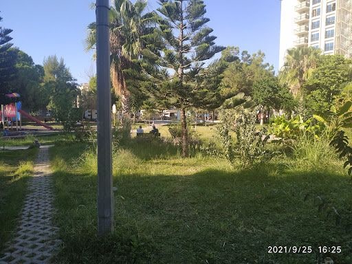 Yorum fotoğrafı 7