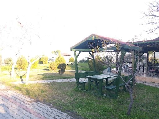 Fotoğraf 22