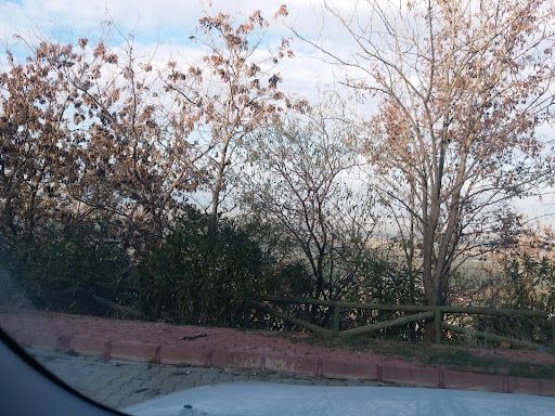 Fotoğraf 24