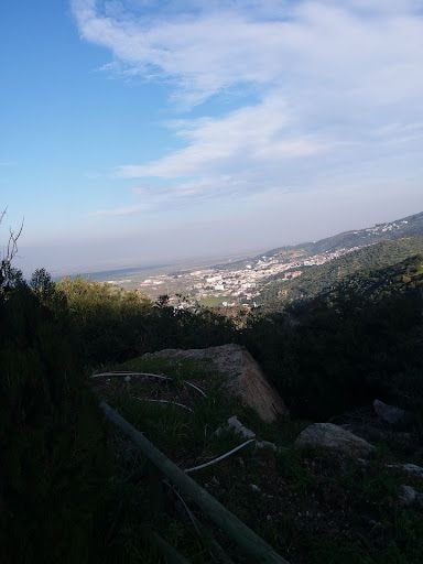 Fotoğraf 25