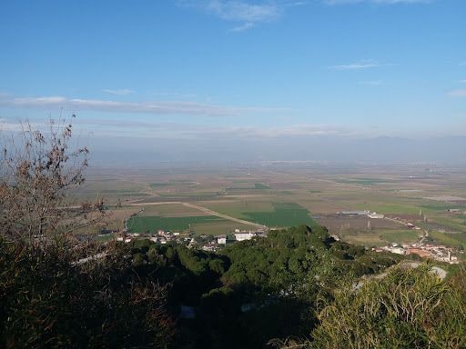Fotoğraf 27