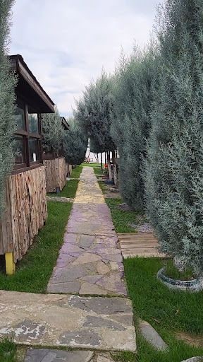 Fotoğraf 19