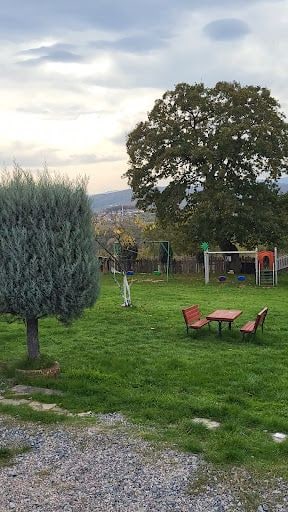 Fotoğraf 17