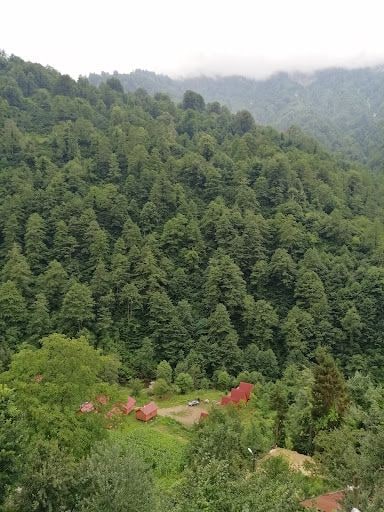 Fotoğraf 45
