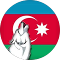 Ali Petek