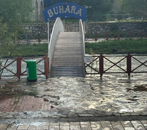 Yorum fotoğrafı 6
