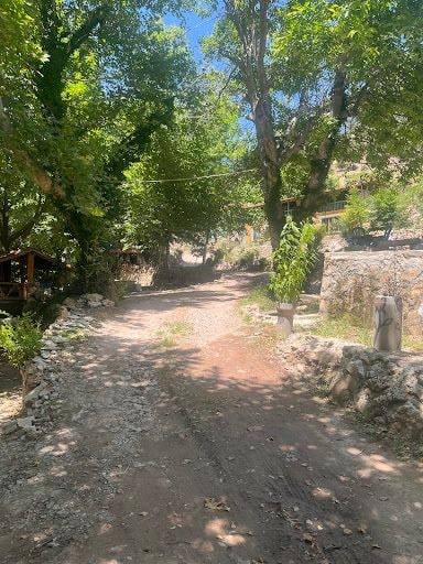 Yorum fotoğrafı 10