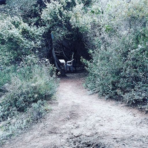 Fotoğraf 17
