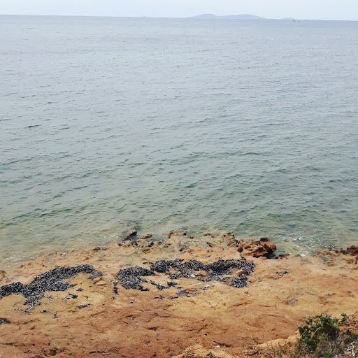 Fotoğraf 18