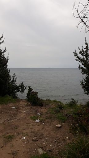 Fotoğraf 20