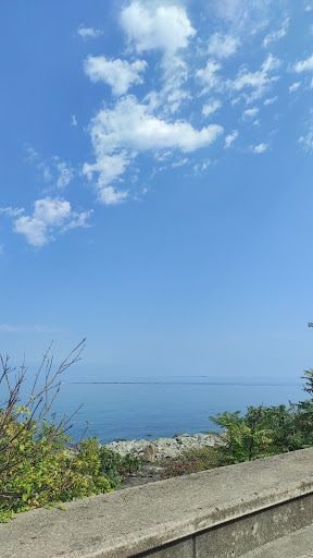 Fotoğraf 12