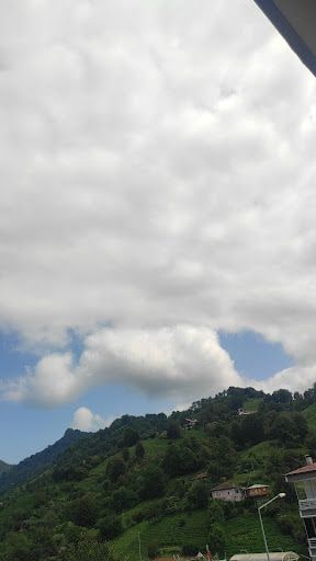 Fotoğraf 14