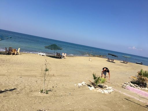 Yorum fotoğrafı 4