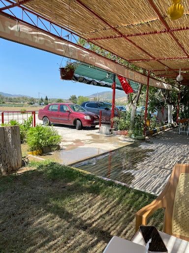 Fotoğraf 27