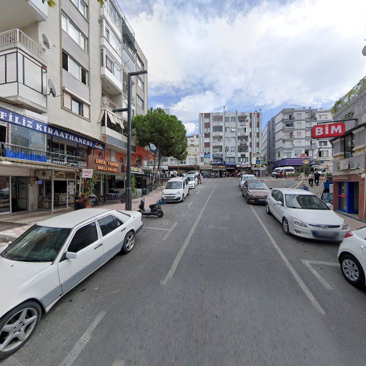 Fotoğraf 3