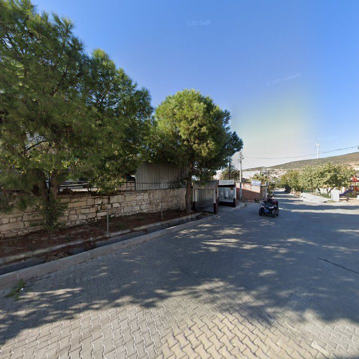 Fotoğraf 7
