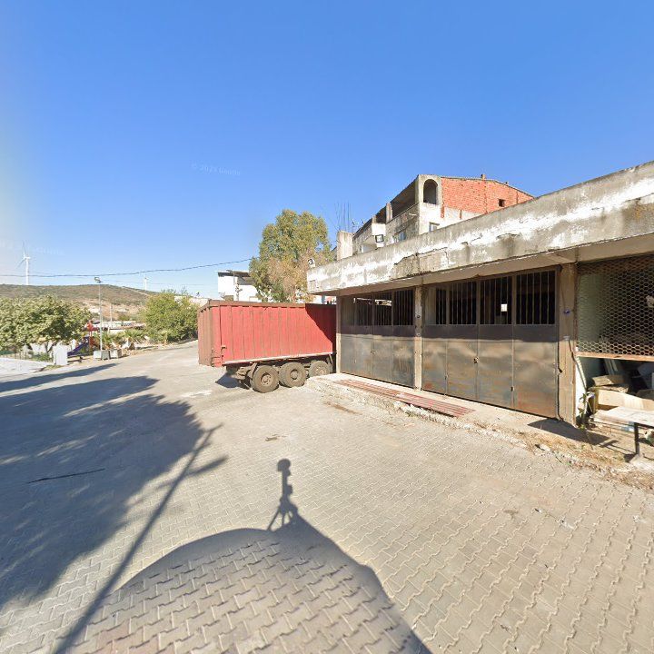 Fotoğraf 8