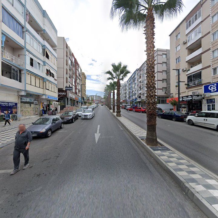 Fotoğraf 7