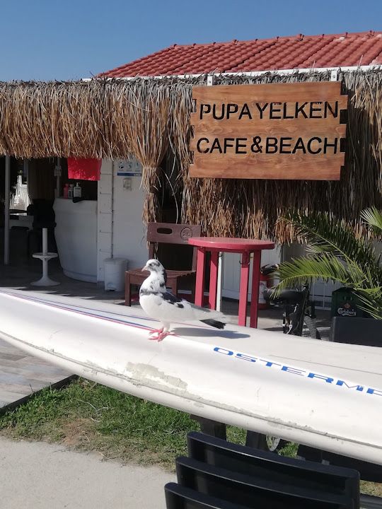 Cafe & Beach