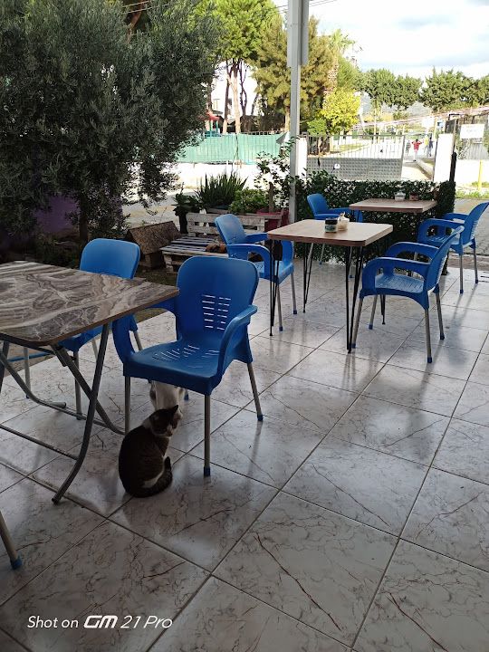 Fotoğraf 3