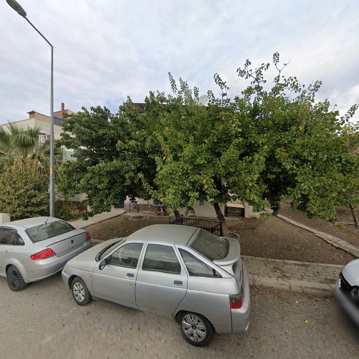 Fotoğraf 6