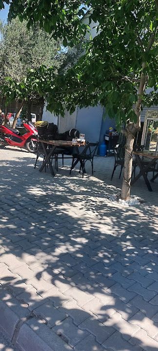 Fotoğraf 3