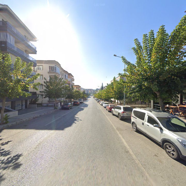 Fotoğraf 6