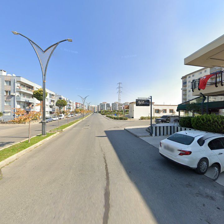Fotoğraf 8