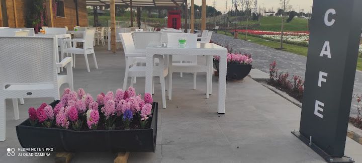 Green Cafe