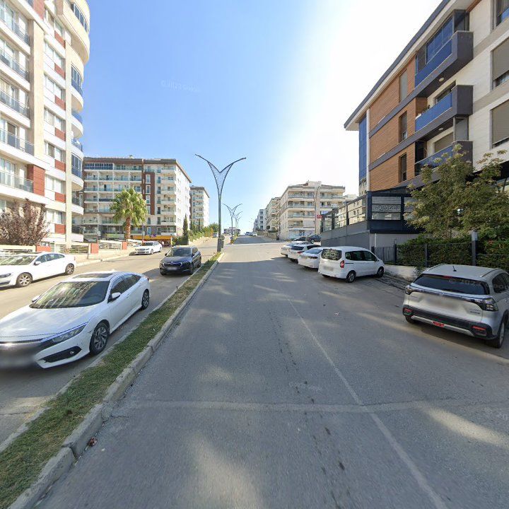 Fotoğraf 7