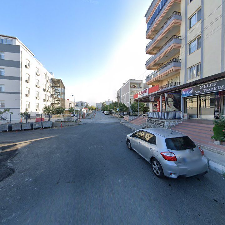 Fotoğraf 7