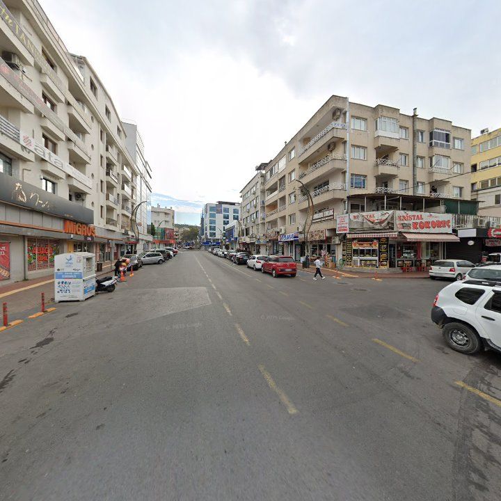 Fotoğraf 10