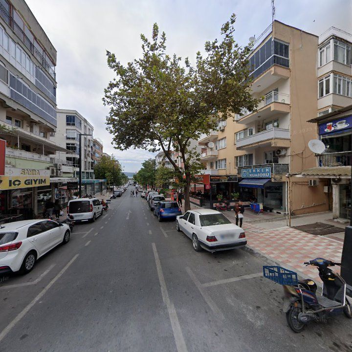 Fotoğraf 11