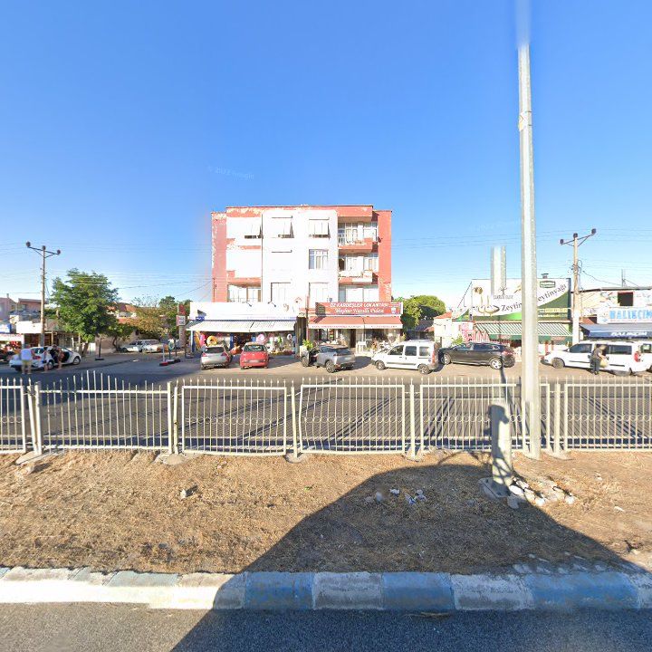 Fotoğraf 13