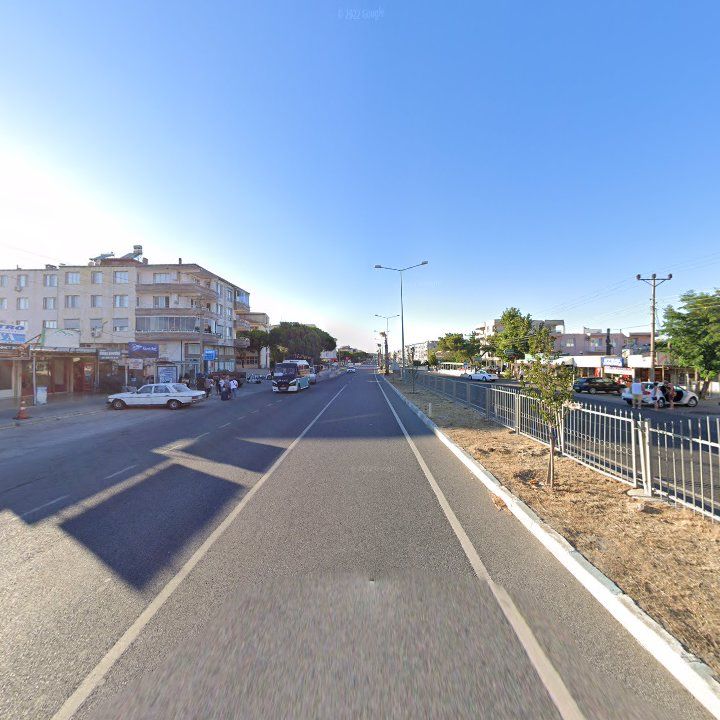 Fotoğraf 12