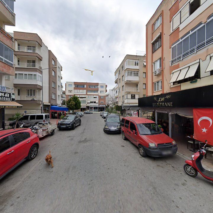 Fotoğraf 11