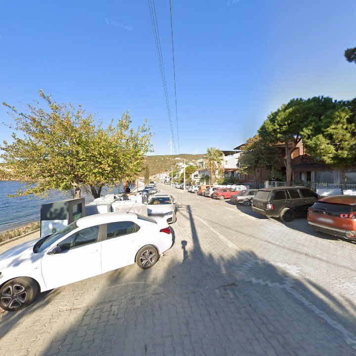 Fotoğraf 9