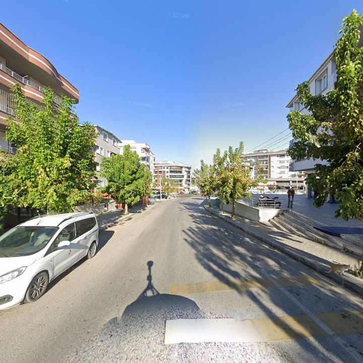 Fotoğraf 9