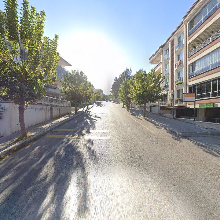 Fotoğraf 7