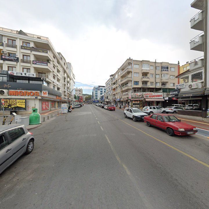Fotoğraf 9