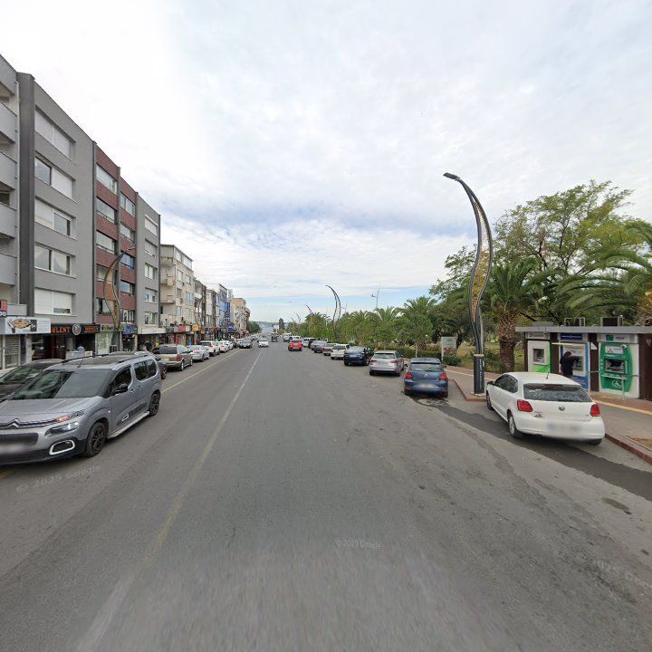 Fotoğraf 7