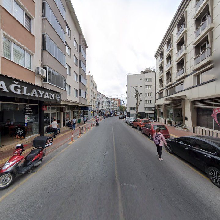 Fotoğraf 10