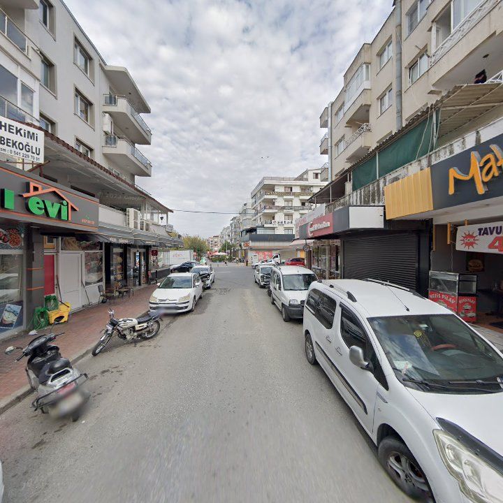 Fotoğraf 7