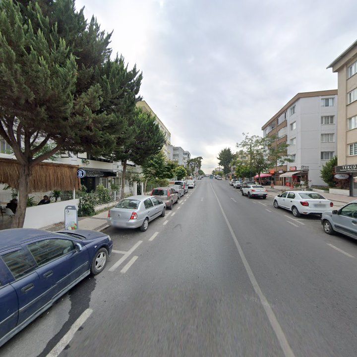Fotoğraf 11