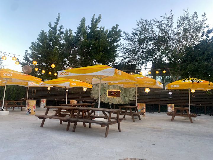 Palm bira bahçesi